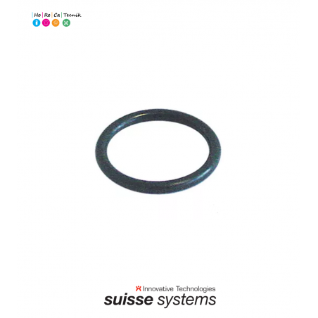 O-Ring-EPDM-Materialstärke-2,62mm-ID-20,63mm-505073