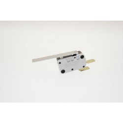 Microschalter mit Hebel...