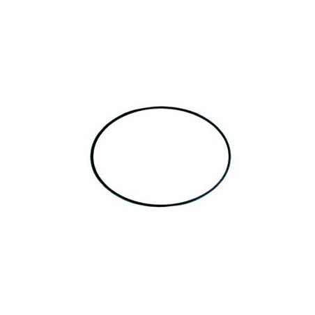 O-Ring für Waschpumpe T110 Ø 94,97x1,78mm Viton | Elettrobar (OEM 456022)